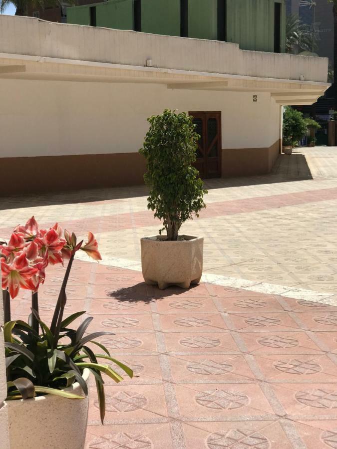Apartamentos Provima Benidorm Exterior foto